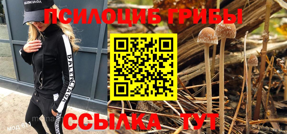 Псилоцибиновые грибы мицелий  Вход с VPN  как найти наркотики  Мурманск 